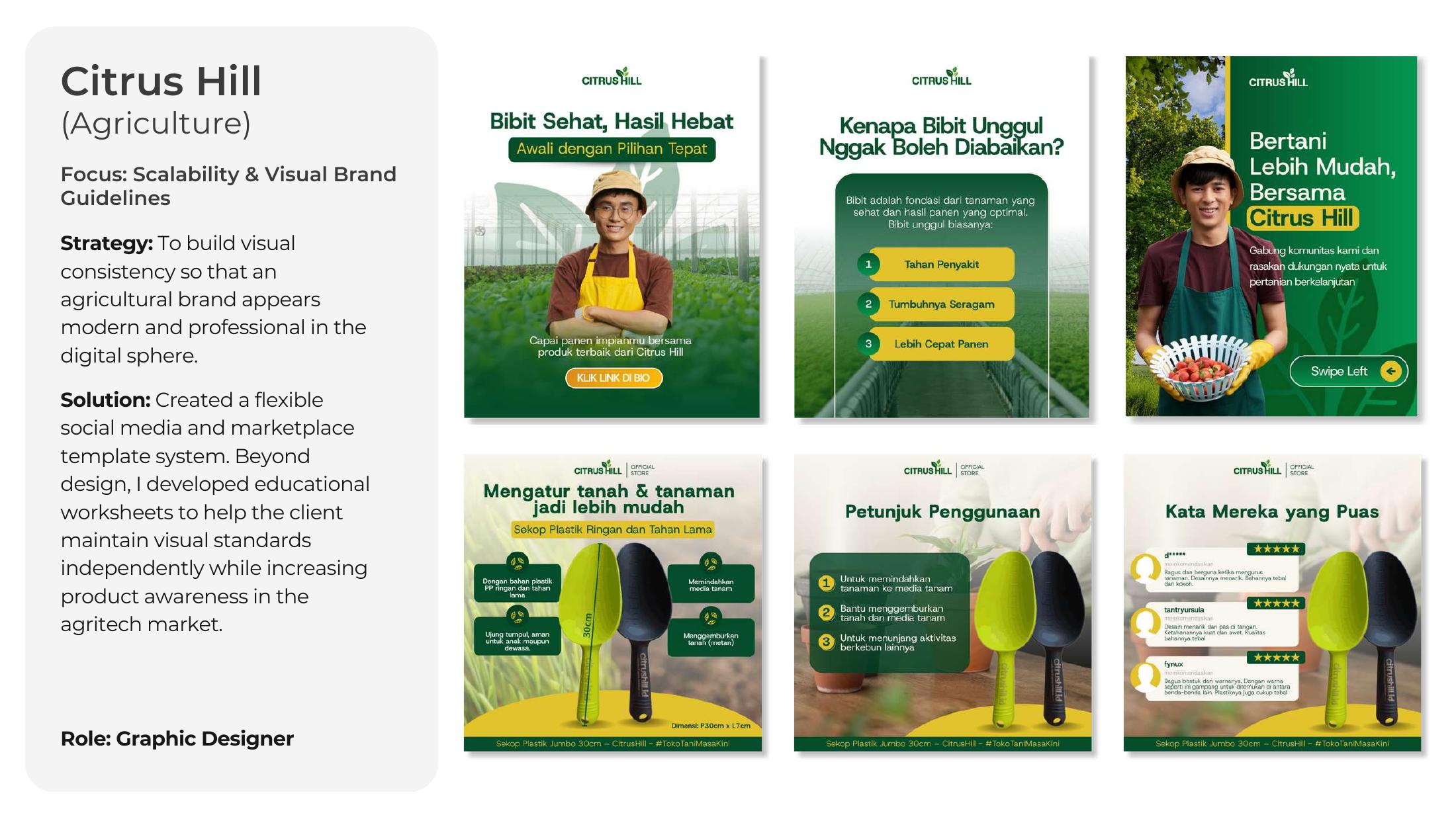 Citrus Hill visual system shown as an example of brand and visual systems